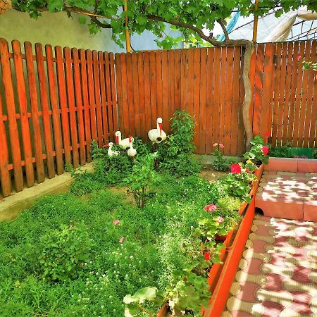 Casa Nelu Pescaru Otel Mahmudia Dış mekan fotoğraf