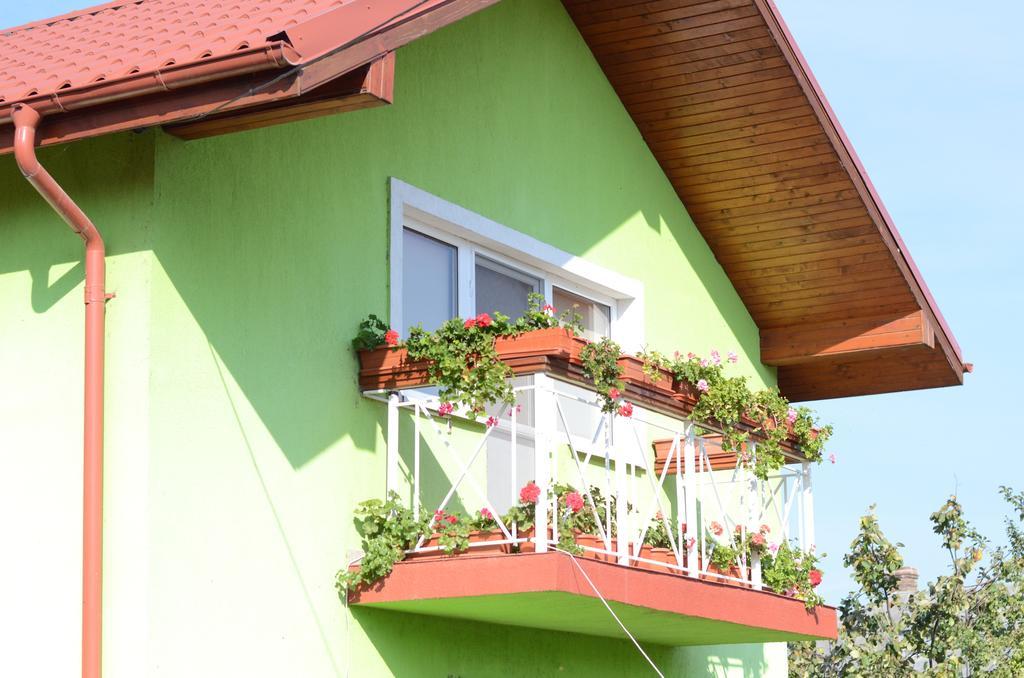 Casa Nelu Pescaru Otel Mahmudia Dış mekan fotoğraf