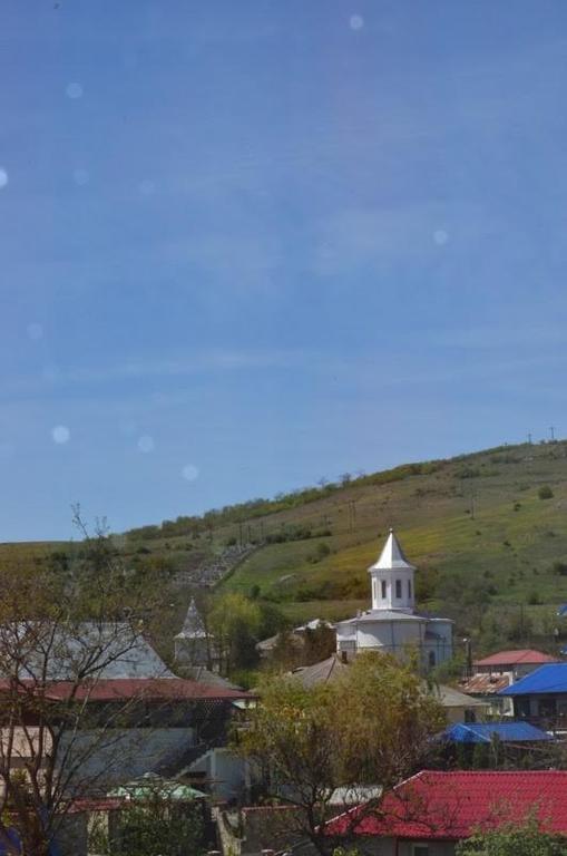 Casa Nelu Pescaru Otel Mahmudia Dış mekan fotoğraf